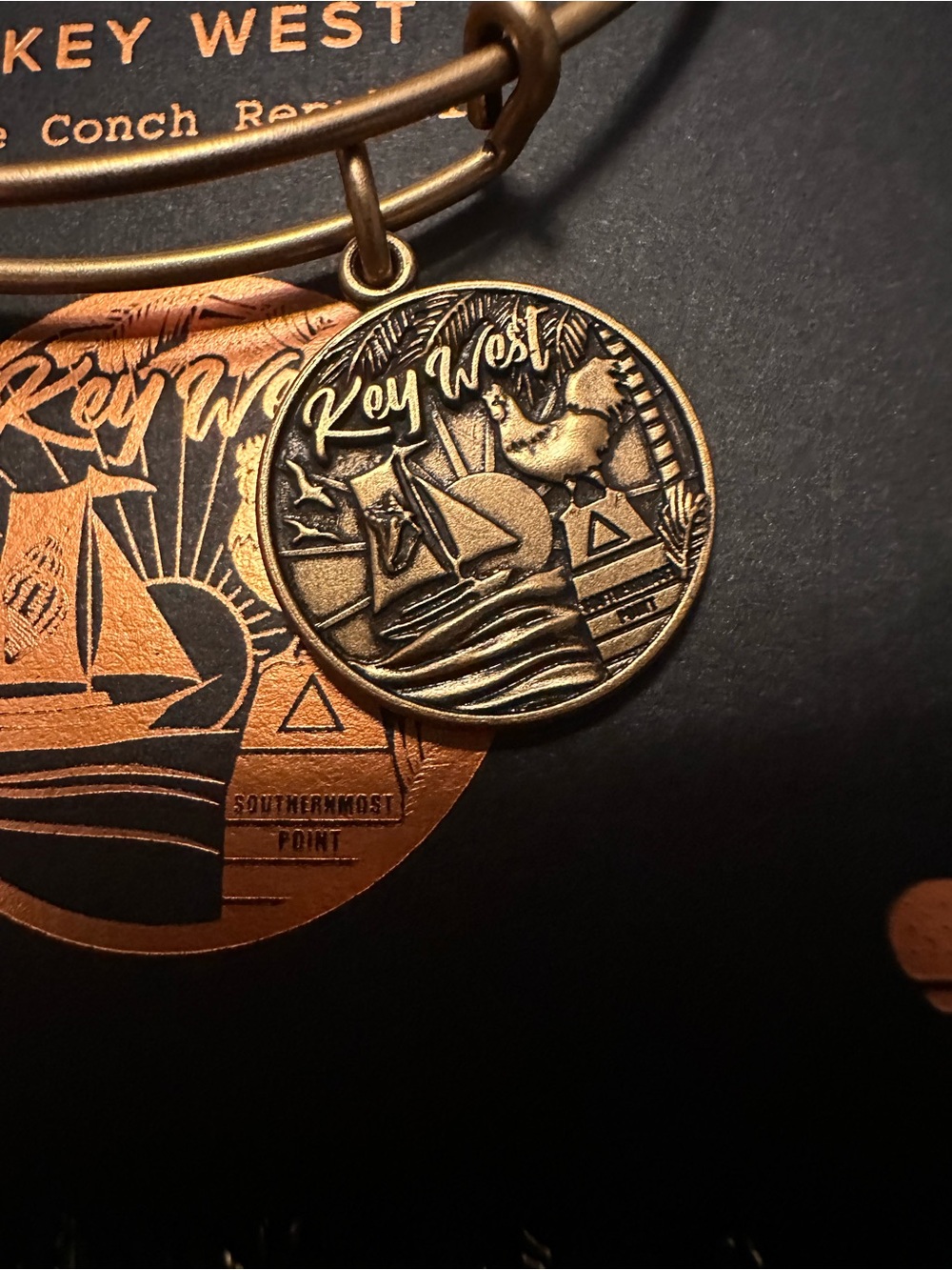 Alex and Ani Gold and Black Key West Charm Bangle Packaging